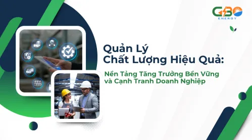 Quản Lý Chất Lượng Hiệu Quả: Nền Tảng Tăng Trưởng Bền Vững và Cạnh Tranh Doanh Nghiệp