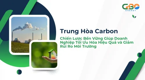 Trung Hòa Carbon: Chiến Lược Bền Vững Giúp Doanh Nghiệp Tối Ưu Hóa Hiệu Quả và Giảm Rủi Ro Môi Trường