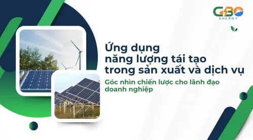 Ứng dụng năng lượng tái tạo trong sản xuất và dịch vụ: Góc nhìn chiến lược cho lãnh đạo doanh nghiệp